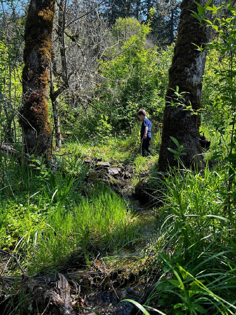 gallery/pisgah_20.jpg