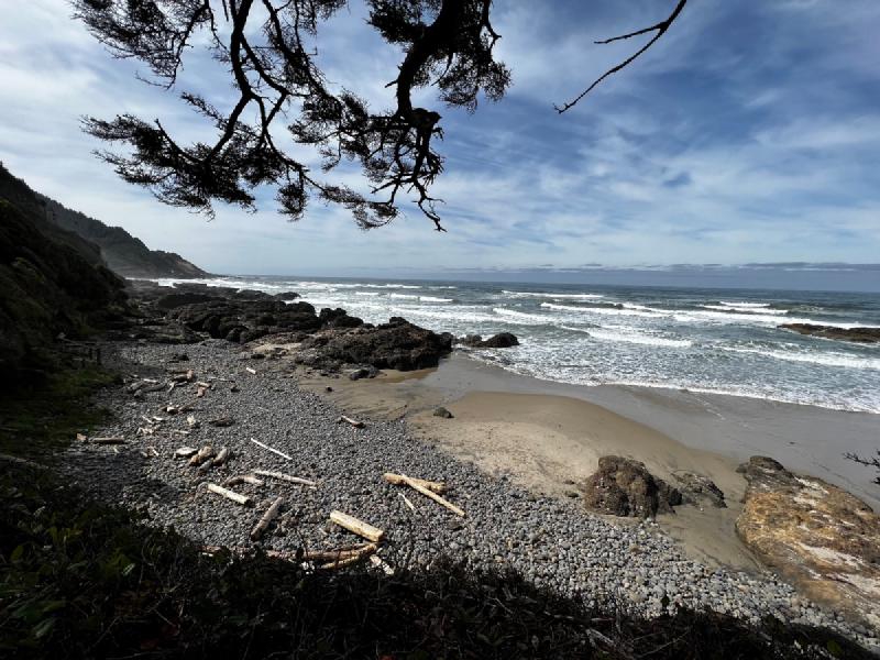 gallery/yachats_solo_10.jpg