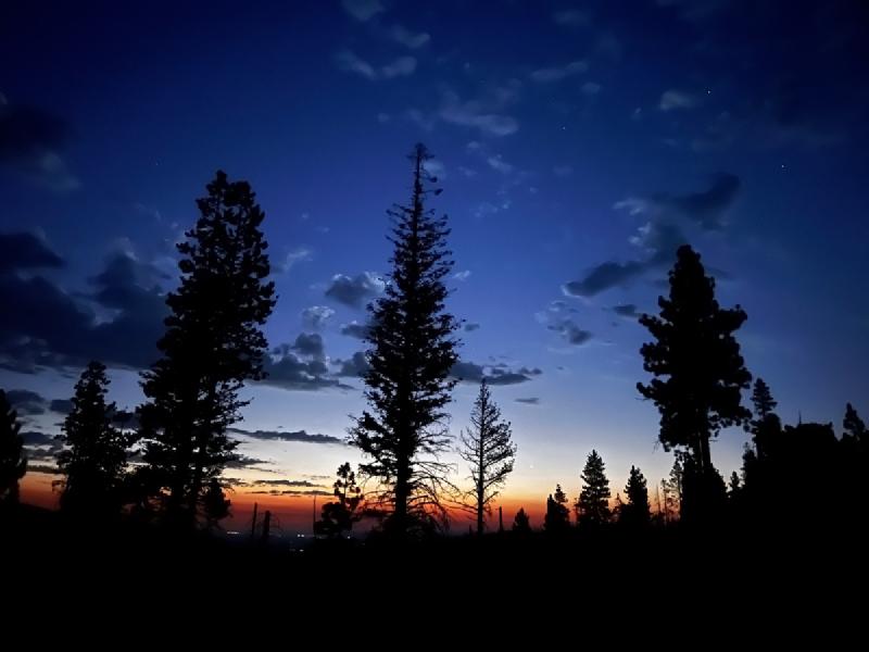 gallery/blueberryPickup_22.jpg