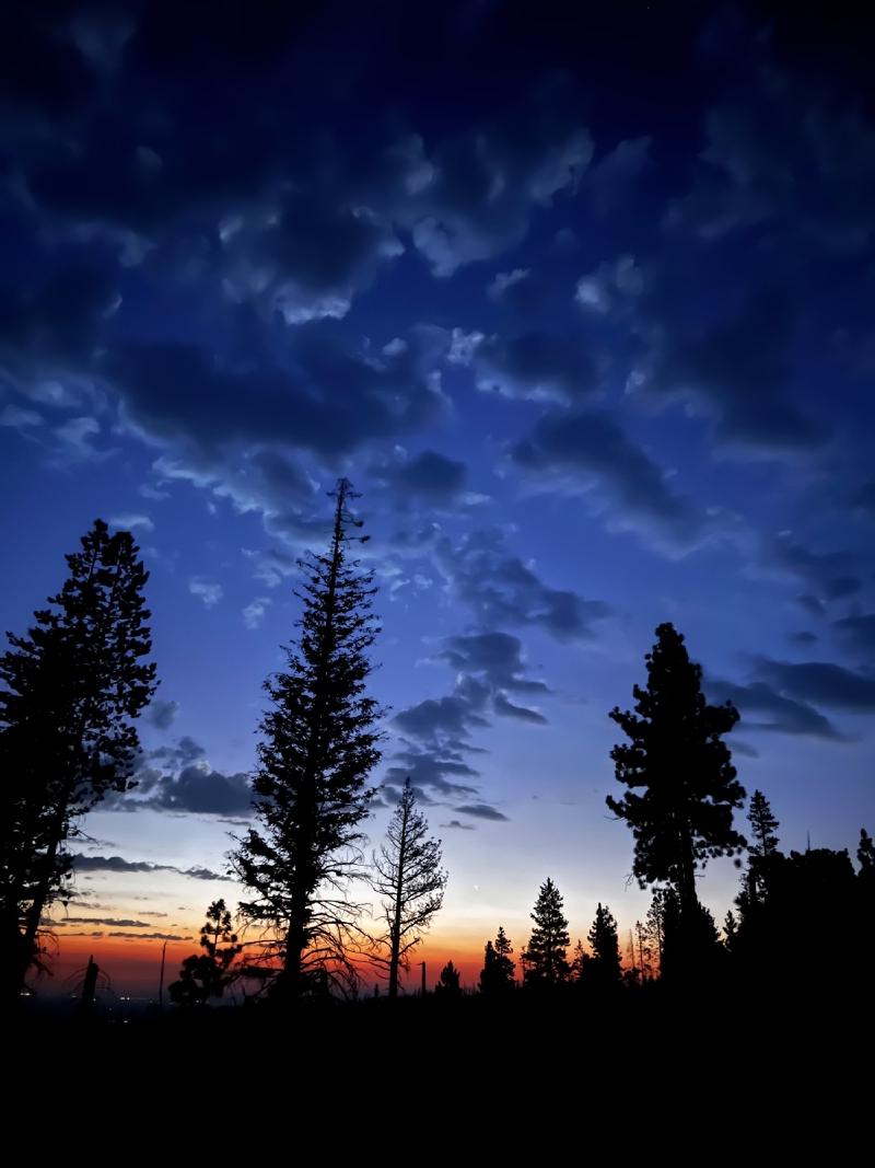 gallery/blueberryPickup_25.jpg