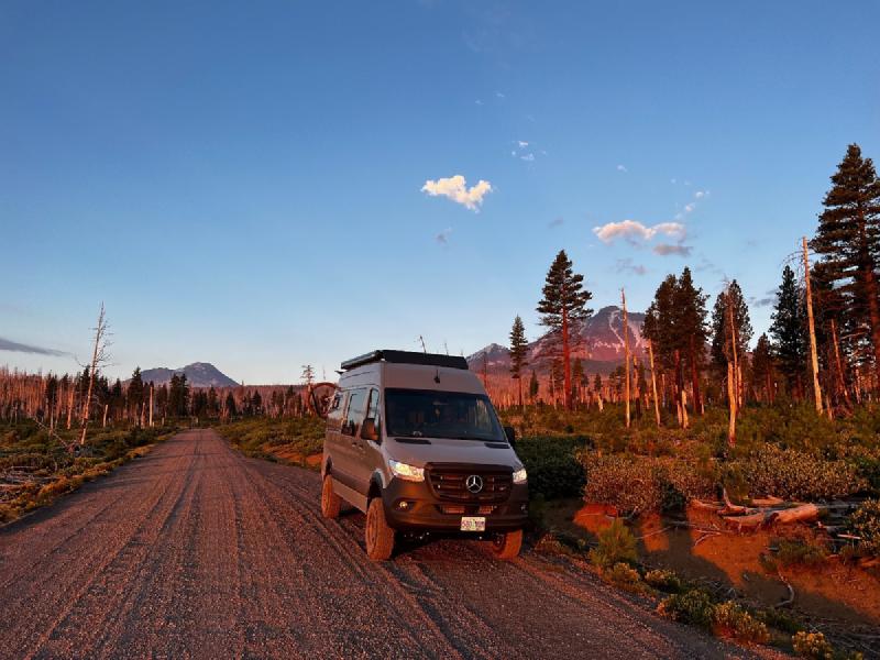 gallery/blueberryPickup_40.jpg
