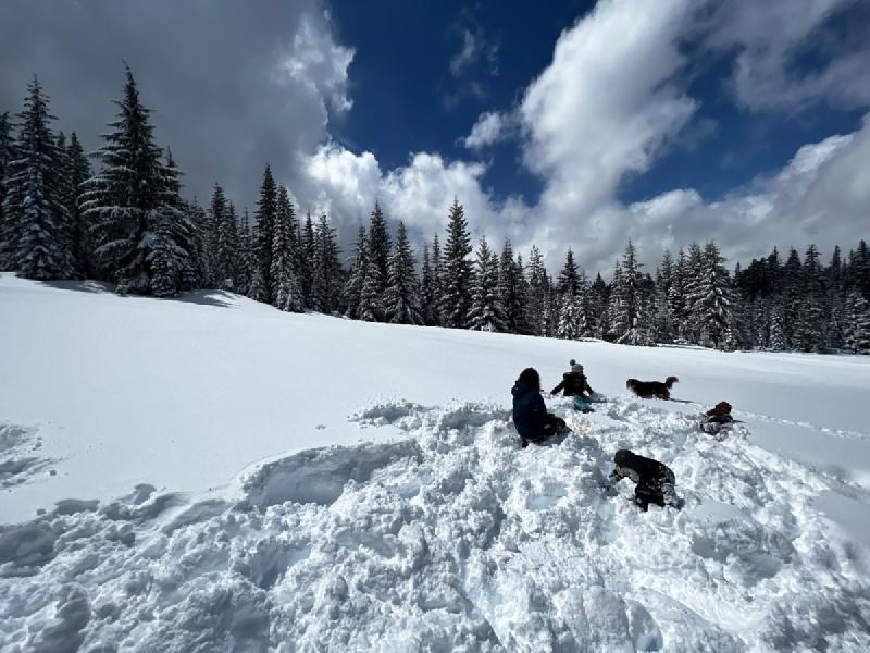 gallery/sledding_2022_15.jpg