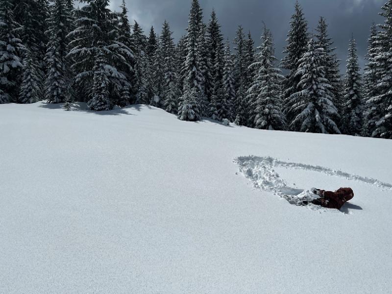 gallery/sledding_2022_22.jpg