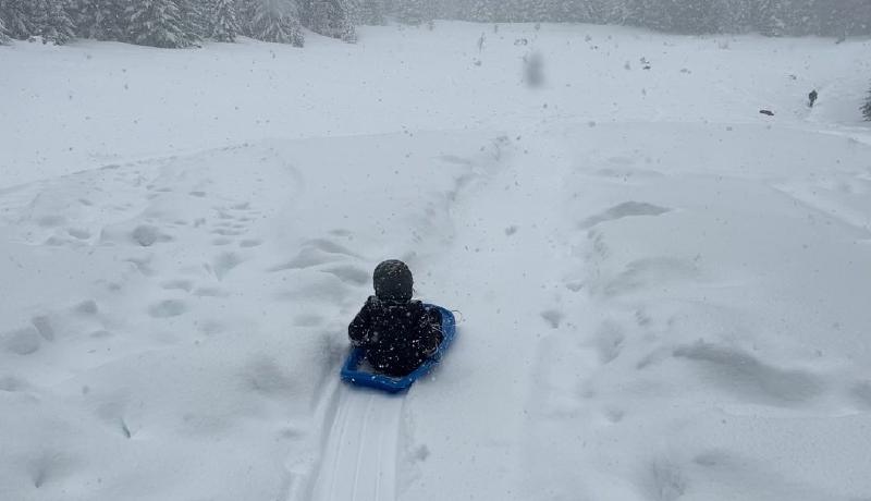 gallery/sledding_2022_28.jpg