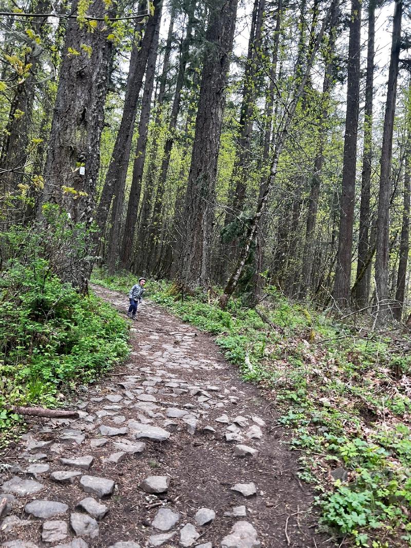 gallery/spencerButte_01.jpg
