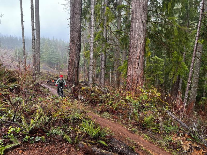 gallery/eugeneBiking_10.jpg
