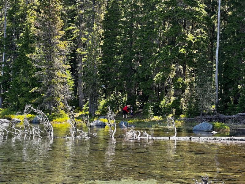 gallery/waldoLakeCamping_44.jpg