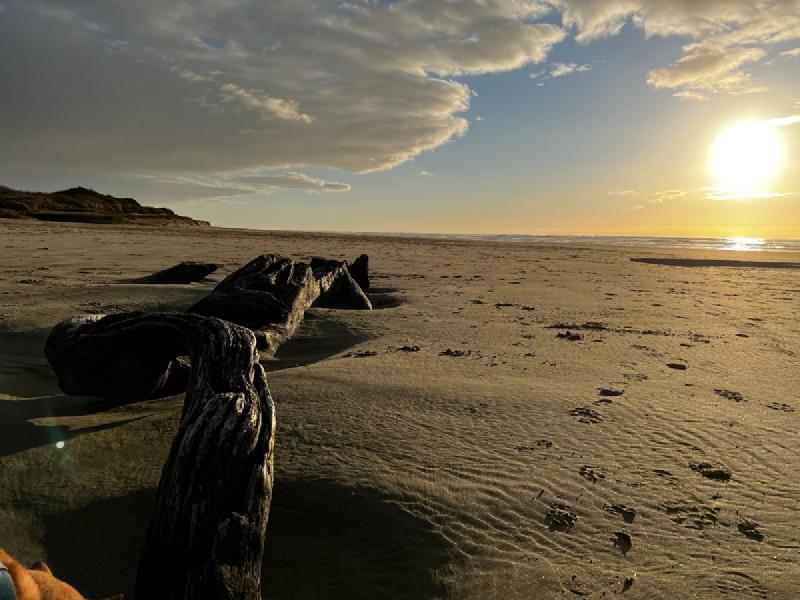 gallery/yachats_023.jpg