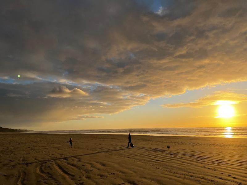 gallery/yachats_039.jpg