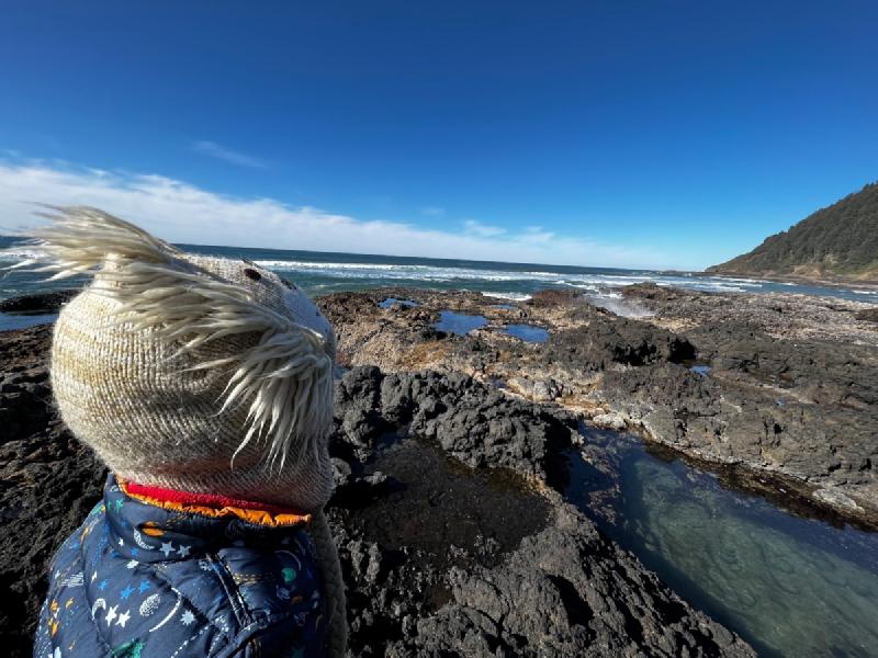 gallery/yachats_055.jpg