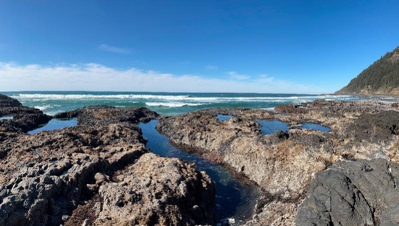 gallery/yachats_060.jpg