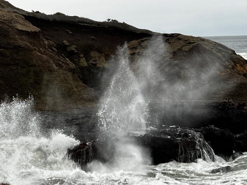 gallery/yachats_090.jpg