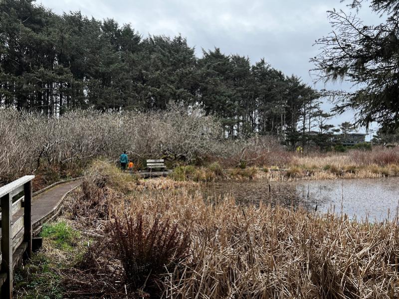 gallery/yachats_123.jpg
