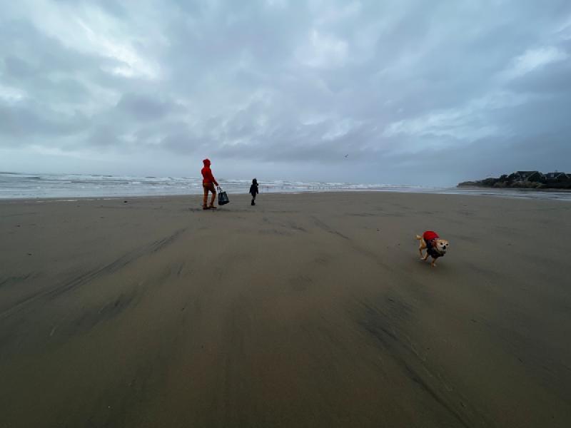 gallery/yachats_141.jpg