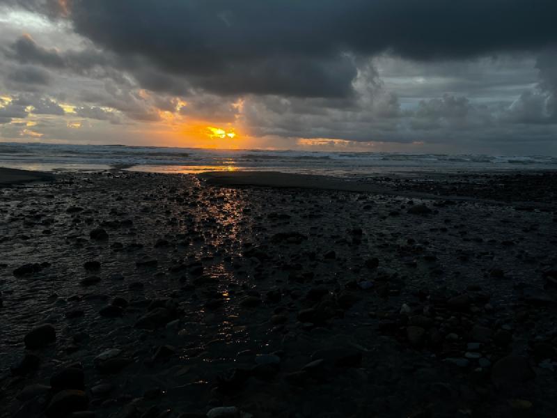 gallery/yachats_198.jpg