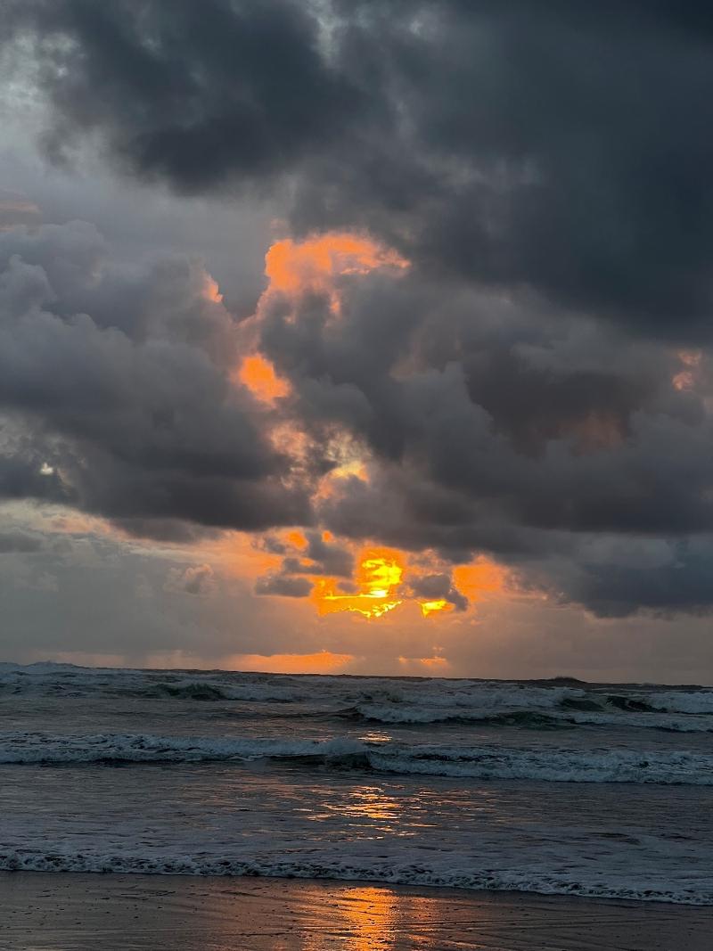gallery/yachats_205.jpg
