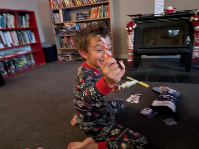 gallery/xmas_11.jpg
