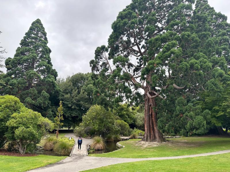 gallery/firstMonthNz_08.jpg