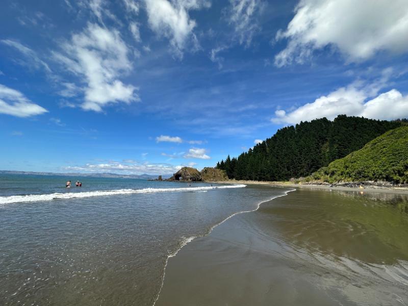 gallery/firstMonthNz_13.jpg