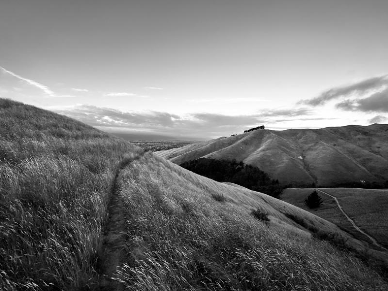 gallery/firstMonthNz_25.jpg