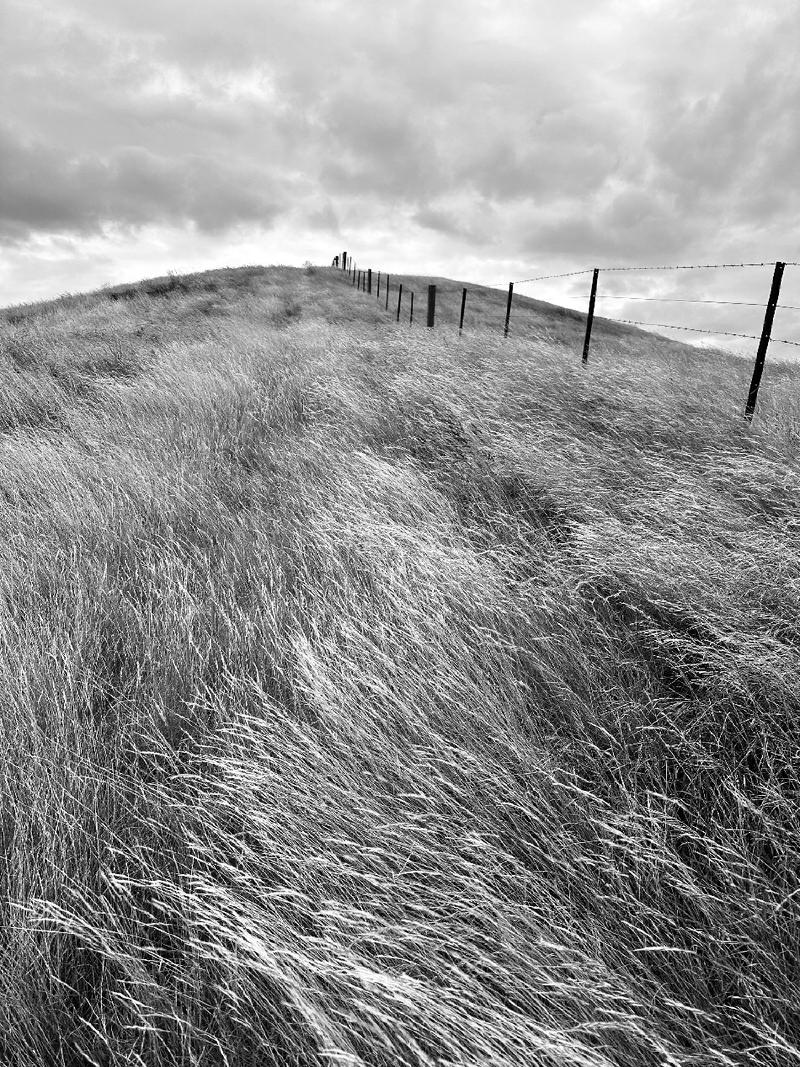 gallery/firstMonthNz_30.jpg