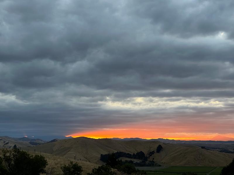 gallery/firstMonthNz_37.jpg
