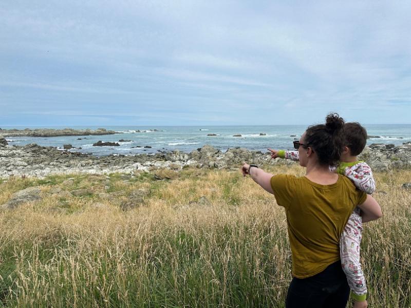 gallery/kaikoura_06.jpg