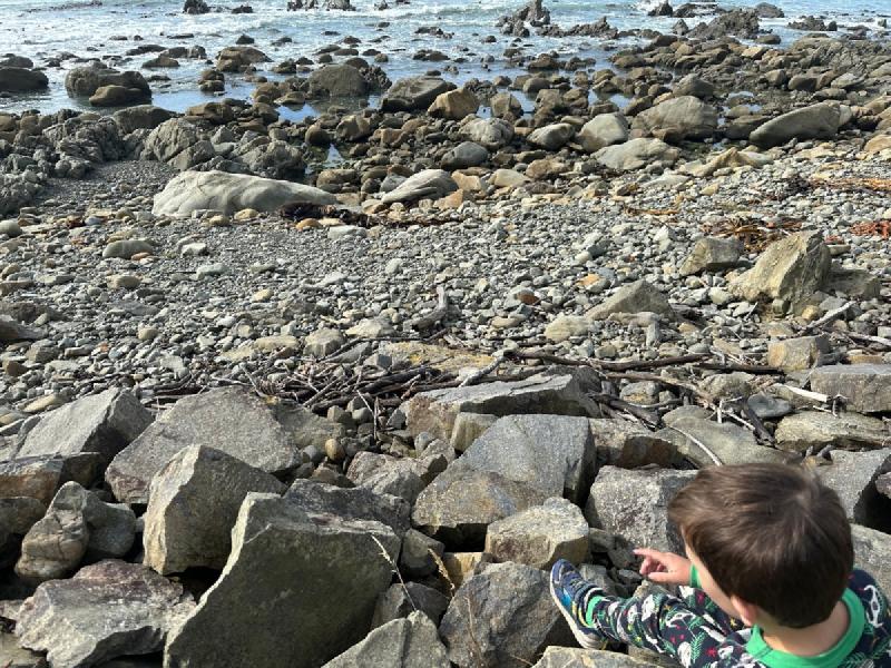 gallery/kaikoura_50.jpg