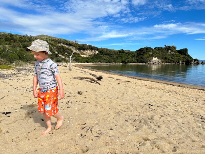 gallery/ligerBay_4.jpg