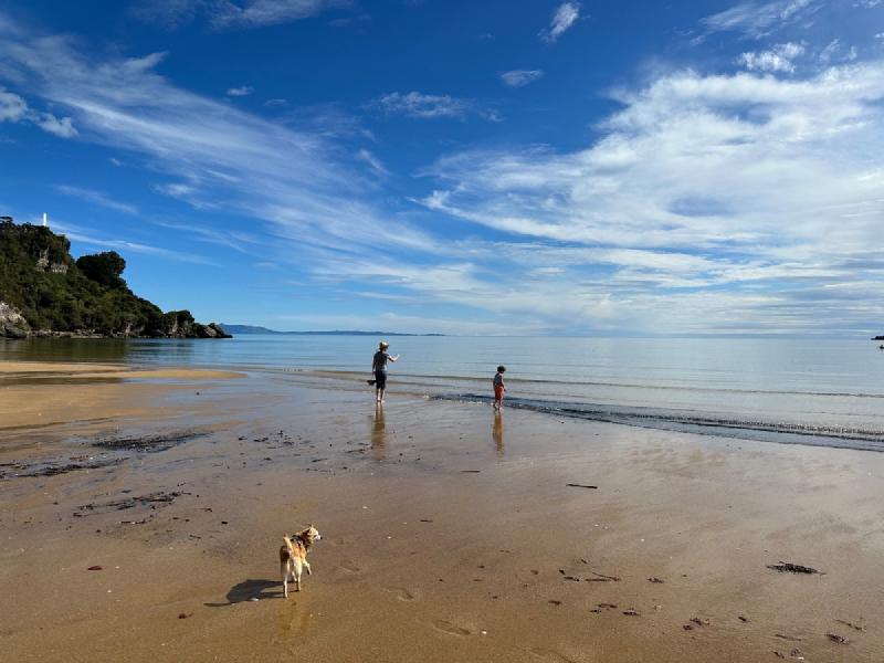 gallery/ligerBay_6.jpg