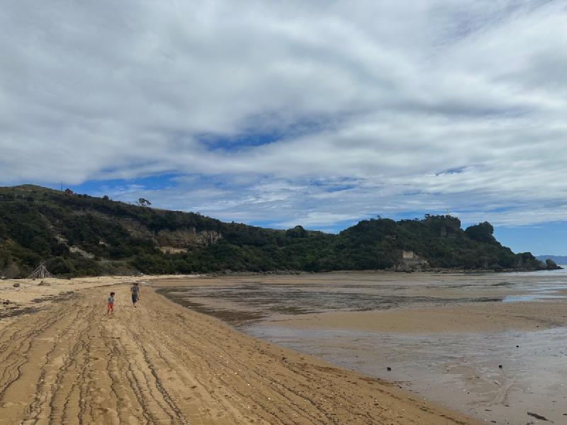 gallery/ligerBay_9.jpg