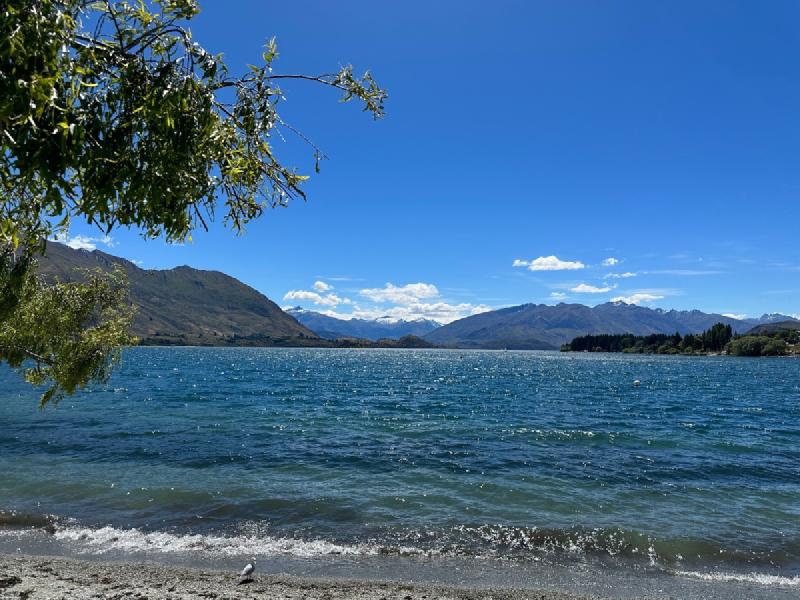 gallery/mtAspiring_023.jpg