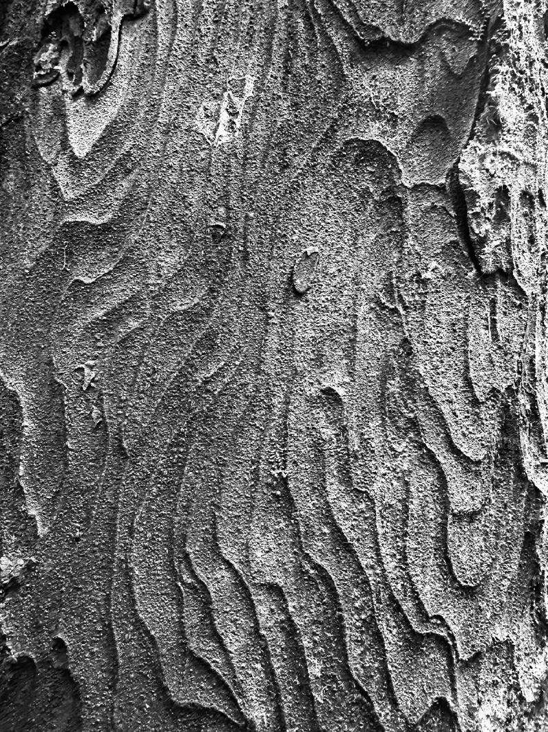 gallery/pelorusCamping04.jpg