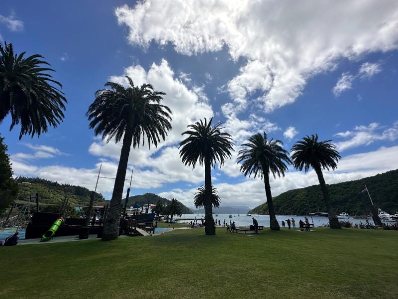 gallery/picton_03.jpg
