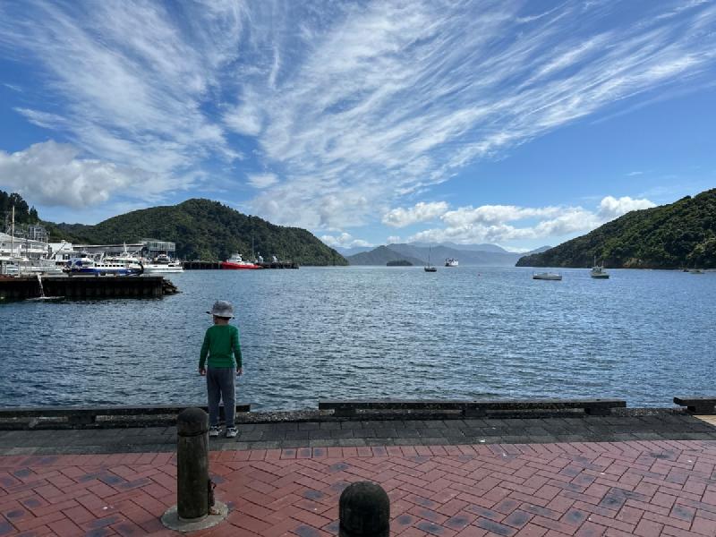 gallery/picton_09.jpg