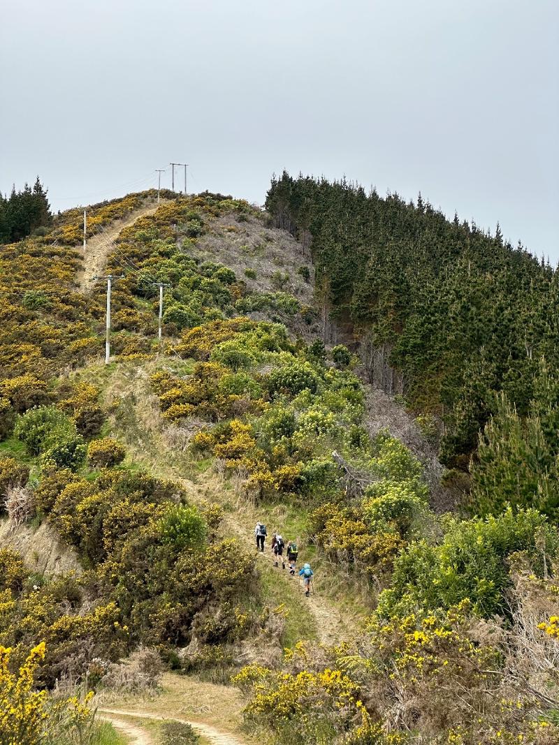 gallery/rahotaHike_03.jpg