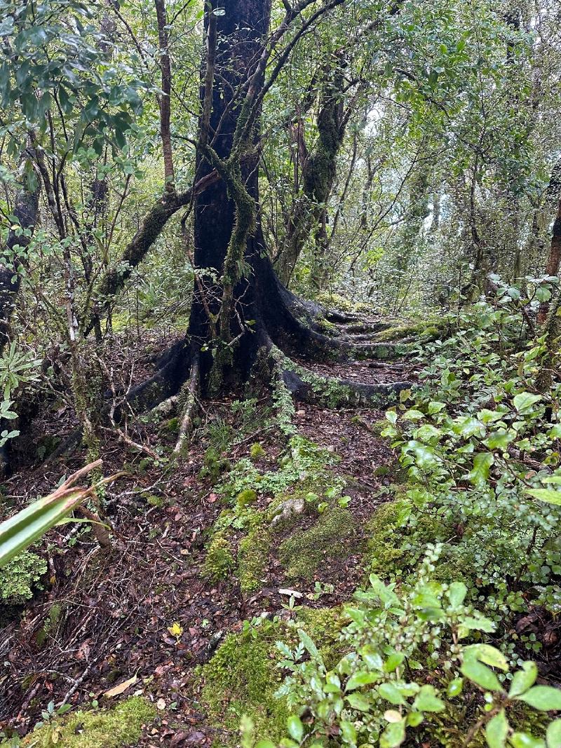 gallery/rahotaHike_06.jpg