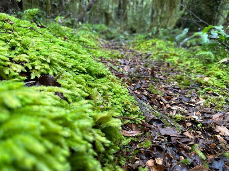 gallery/rahotaHike_09.jpg