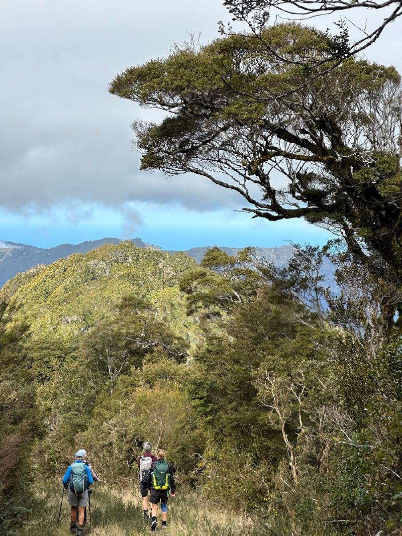gallery/rahotaHike_10.jpg