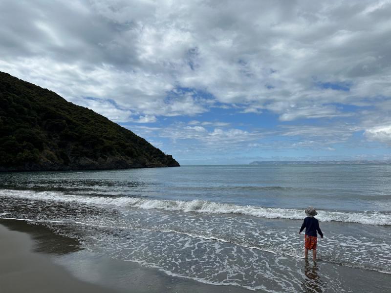 gallery/whitesBay_14.jpg
