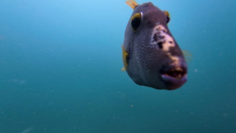 gallery/funDive_16.jpg