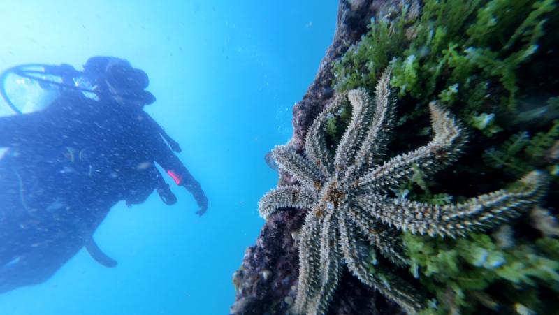 gallery/funDive_25.jpg