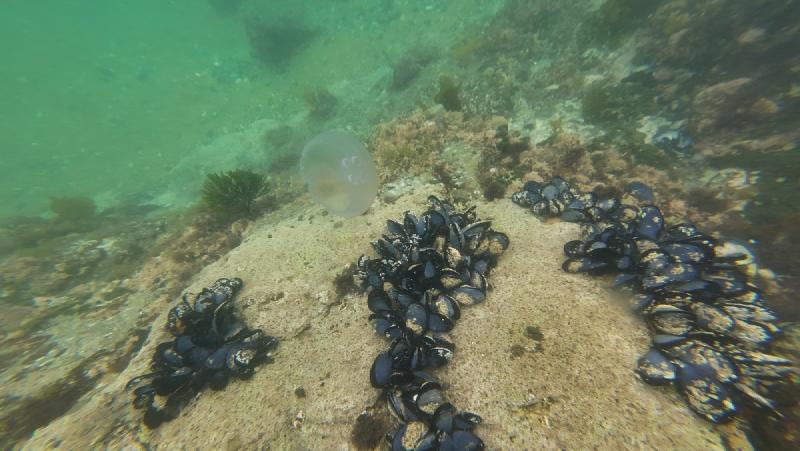 gallery/funDive_29.jpg