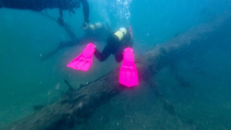 gallery/funDive_53.jpg