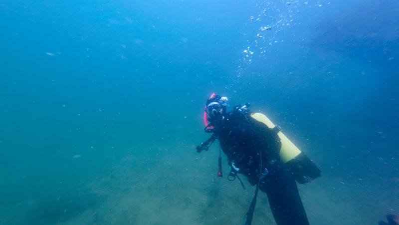 gallery/funDive_57.jpg
