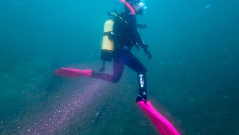 gallery/funDive_67.jpg