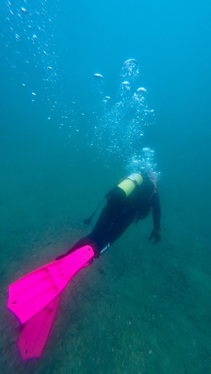 gallery/funDive_70.jpg