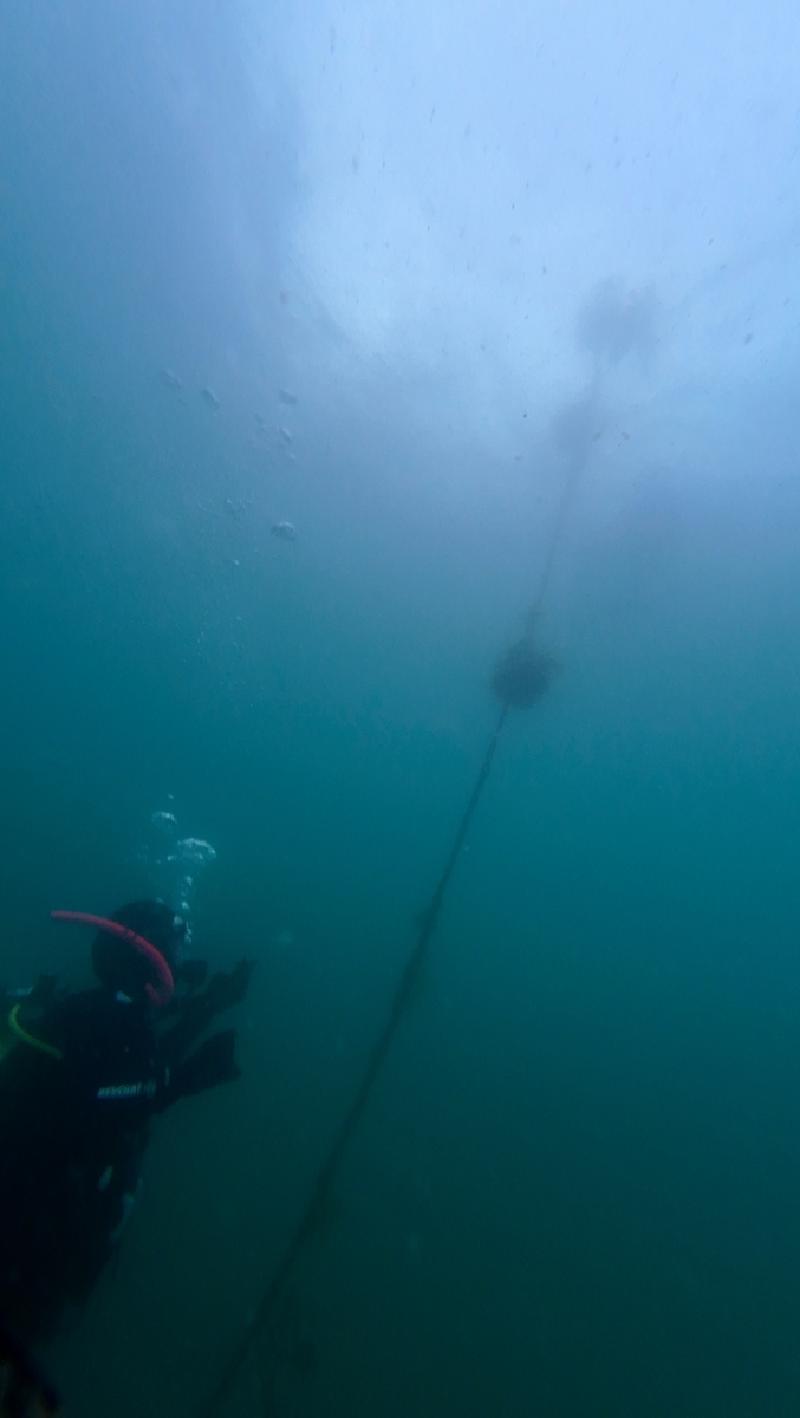 gallery/funDive_74.jpg