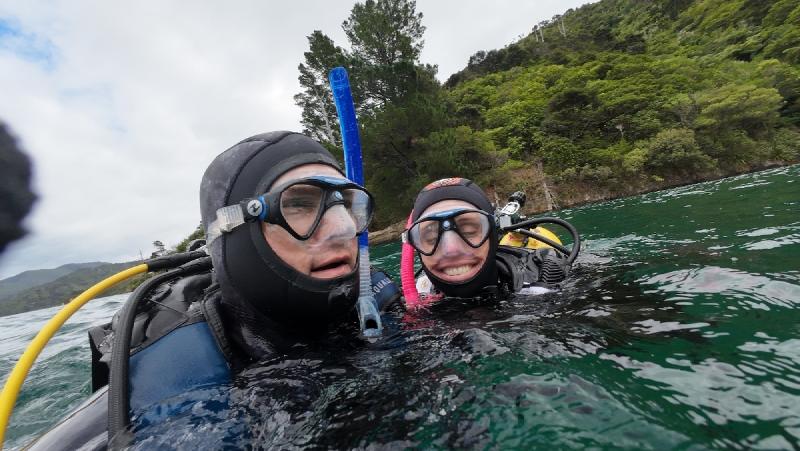 gallery/funDive_77.jpg
