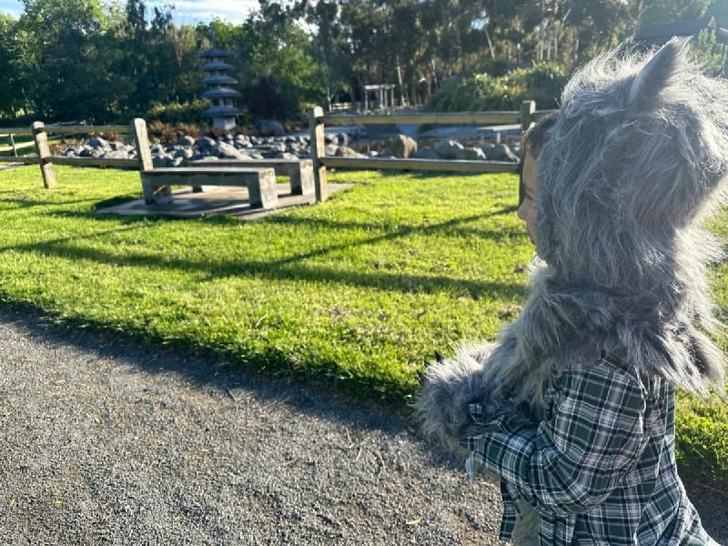 gallery/halloween_05.jpg